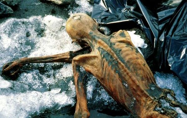 познавательные факты, спорим вы не знали