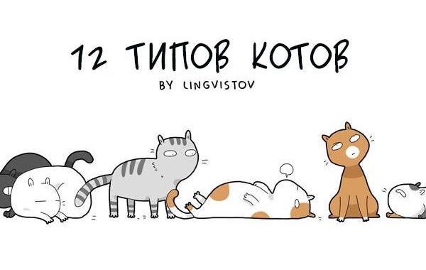 12 типов котов, типы котов, типы кошек