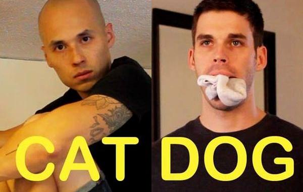 Кошки против собак, если бы кошки и собаки были людьми, Cat-Friend vs.Dog-Friend