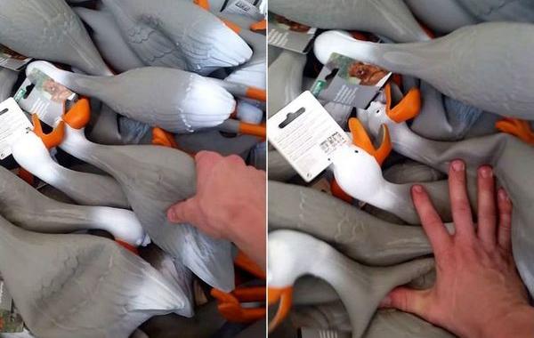 армия резиновых уток, Duck Army, крик армии резиновых уток