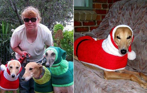 Женщина вяжет свитера для борзых