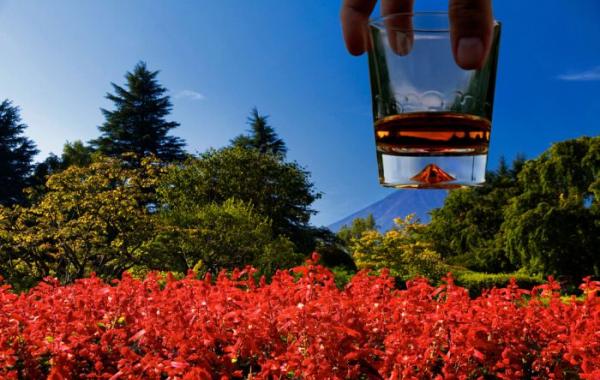 Самые популярные фотографии 2013 года