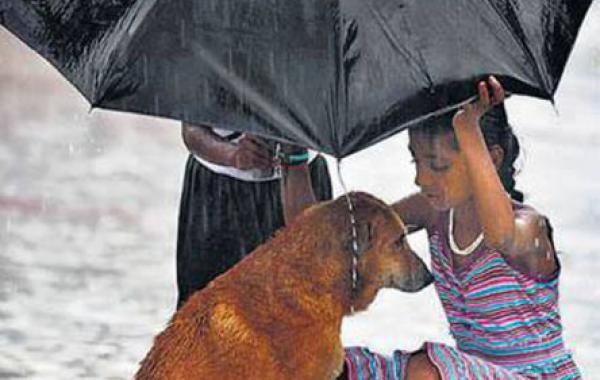 Эмоциональные фотографии, волнующие до глубины души, трогательные снимки 