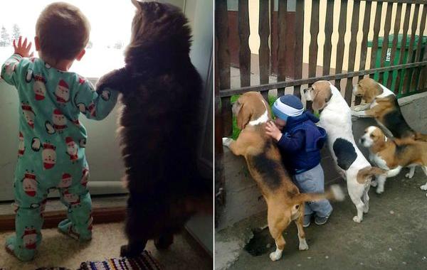 детям нужны животные, дети и животные