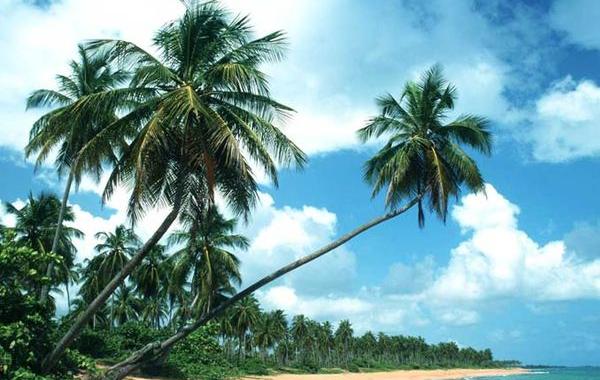 боди-арт маскировка, Филиппо Локо, Filippo Ioco, найти людей в пейзажах боди-арт, боди-арт пейзажи