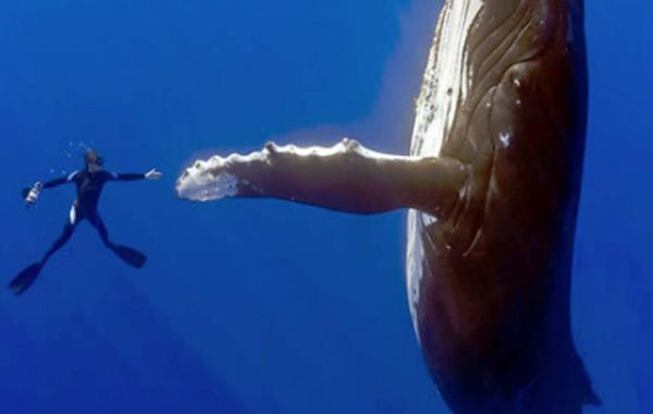 25 смешных и удивительных фотографий, сделанных в нужный момент