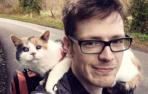 слепая спасённая кошка стиви, кошка покорившая гору в Ирландии