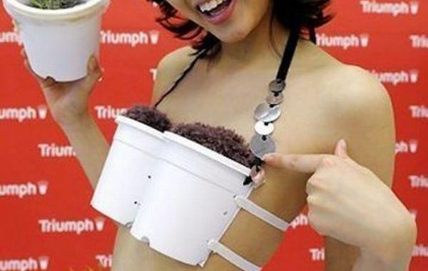 сумасшедшие японцы, тем временем в Японии