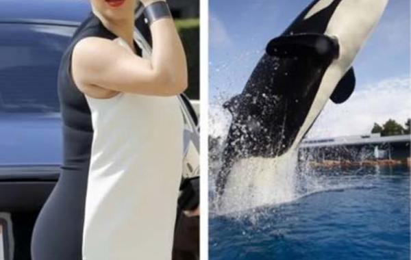 смешные сходства двойники звёзд 