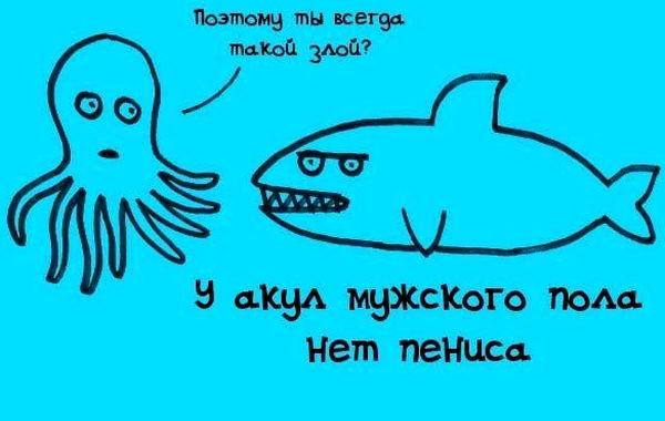 факты в картинках, факты обо всём