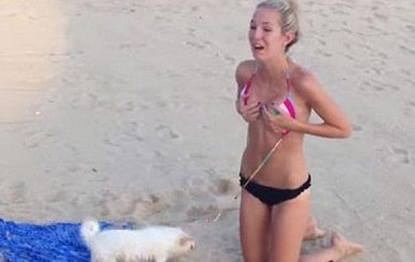 Кендра Мориа, Kendra Moriah, щенок стягивает купальник, собака на пляже пытается стянуть бикини