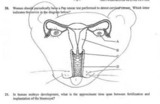 смешные дорисовки к учебникам, смешные рисунки в учебниках, студенты рисуют в учебниках, рисунки студентов в учебниках