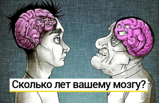 Тест: доживете ли вы до лет? — prokatvrf.ru — Челябинск