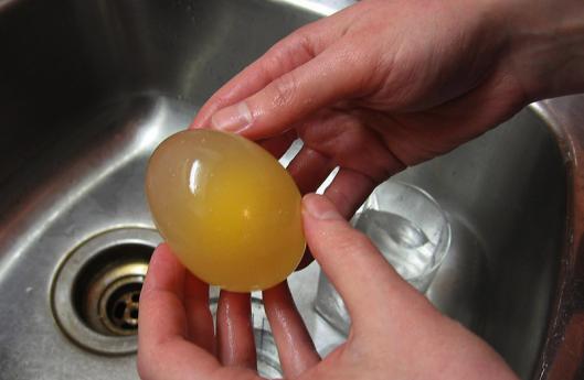 Как сделать попрыгунчик из обычного куриного яйца
