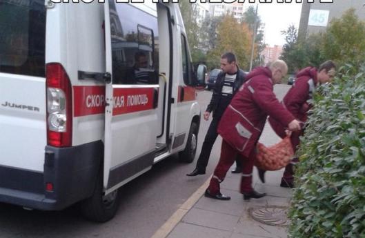 смешные фотографии,прикольные картинки