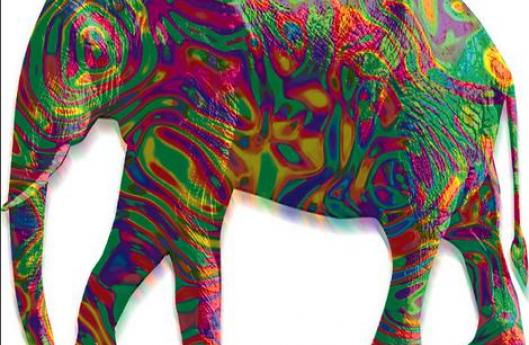 cумасшедшие опыты проводимые над животными